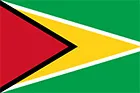 Road Construction Equipment at Best Price in Guyana